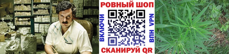 Продажа наркотиков Прокопьевск Гашиш  ЭКСТАЗИ  Меф  Канабис  Псилоцибиновые грибы 