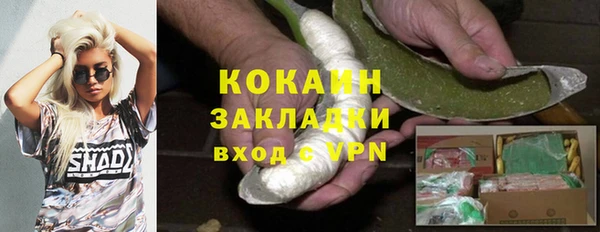 дмт Кукмор