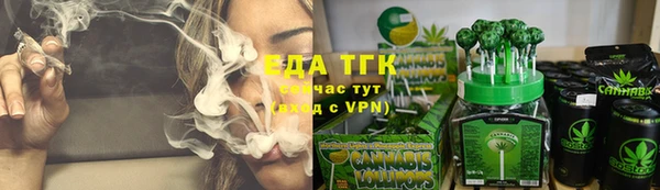 мдпв Кулебаки