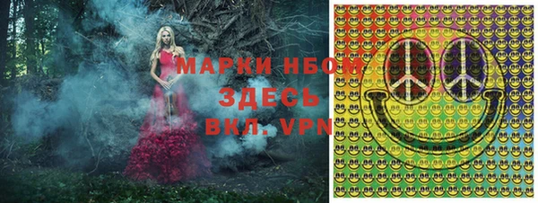 дмт Кукмор