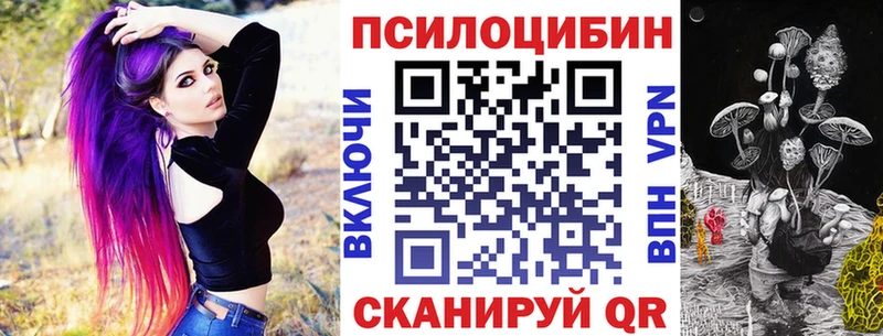 Псилоцибиновые грибы Psilocybe  Прокопьевск 